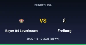Bayer 04 Leverkusen vs SC Freiburg