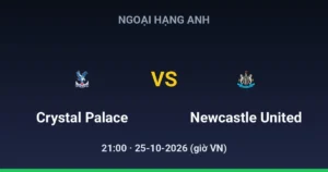 Crystal Palace vs Newcastle United