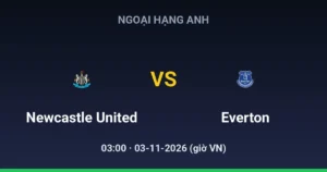 Newcastle United vs Everton