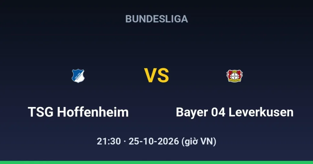 TSG Hoffenheim vs Bayer 04 Leverkusen
